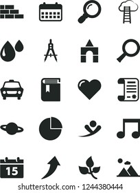 Solid Black Vector Icon Set - pie chart vector, book, box of bricks, brick wall, calendar, heart, car, planet, leaves, drop, Measuring compasses, research article, magnifier, note, zoom, arrow up