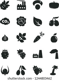 Solid Black Vector Icon Set - grape vector, branch of, squash, cornels, blackberry, tasty, guava, physalis, garlic, carrot, mashroom, pumpkin, leaf, manufacture, industrial building, carbon dyoxide