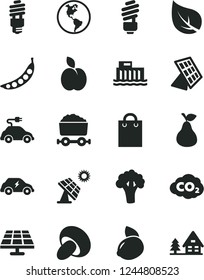 Solid Black Vector Icon Set - saving light bulb vector, porcini, apple, pear, yellow lemon, peas, broccoli, solar panel, big, leaf, planet Earth, hydroelectric station, energy, electric car, bag