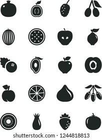 Solid Black Vector Icon Set - blueberries vector, peach, half apricot, pomegranate, quince, red apple, tasty, raspberry, rose hip, cornels, fig, mulberry, melon, of mango, goji berry, kiwi, guawa