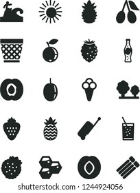 Solid Black Vector Icon Set - wicker pot vector, a glass of soda, bottle, cone, strawberry, strawberries, honeycombs, half apricot, plum, cornels, tasty raspberry, blueberry, passion fruit, trees