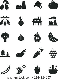 Solid Black Vector Icon Set - garden trolley vector, tomato, beet, large grape, cornels, mulberry, goji berry, slice of tangerine, half loquat, garlic, carrot, peas, broccoli, eggplant, factory