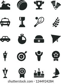 Solid Black Vector Icon Set - bath ball vector, motor vehicle, warm hat, timer, car, pedestal, flame torch, winner, laurel branch, prize, gold cup, pennant, target, medal with, star, hang glider