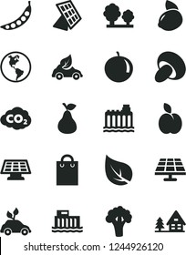 Solid Black Vector Icon Set - porcini vector, apple, pear, tangerine, yellow lemon, peas, broccoli, solar panel, leaf, planet Earth, hydroelectric station, hydroelectricity, trees, eco car, bag, sun