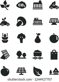 Solid Black Vector Icon Set - porcini vector, pear, mint, tangerine, delicious apple, broccoli, solar panel, leaves, leaf, hydroelectric station, hydroelectricity, trees, eco car, carbon dyoxide