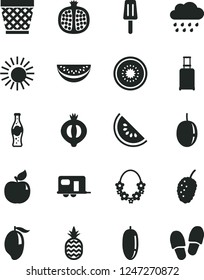 Solid Black Vector Icon Set - wicker pot vector, rainy cloud, bottle of soda, popsicle, a pineapple, half pomegranate, apricot, medlar, tasty mulberry, slice water melon, mango, date fruit, passion