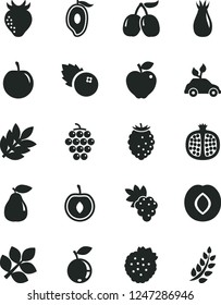 Solid Black Vector Icon Set - blueberries vector, strawberries, half pomegranate, grape, large, pear, red apple, plum, strawberry, rose hip, tasty raspberry, blueberry, cornels, of mango, cherry