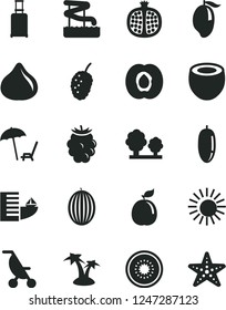 Solid Black Vector Icon Set - summer stroller vector, half apricot, pomegranate, fig, blackberry, tasty mulberry, melon, mango, date fruit, of kiwi, guava, coconut, trees, rolling suitcase, hotel