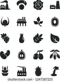 Solid Black Vector Icon Set - mint vector, grape, squash, rose hip, tasty cornels, goji berry, delicious plum, half loquat, ripe pineapple, physalis, beans, mashroom, leaves, leaf, factory, biology