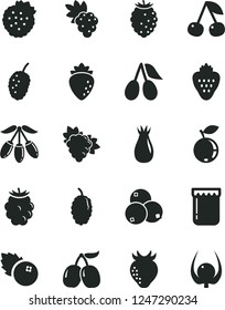 Solid Black Vector Icon Set - jam vector, blueberries, strawberry, strawberries, cherry, grape, branch of, raspberry, rose hip, cornels, blackberry, tasty, blueberry, mulberry, goji berry, physalis