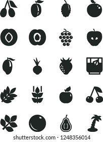 Solid Black Vector Icon Set - beet vector, a glass of tea, orange, mint, cherry, half apricot, large grape, tasty apple, plum, strawberry, cornels, mulberry, mango, ripe, delicious, part guava