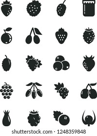 Solid Black Vector Icon Set - Jam Vector, Blueberries, Strawberry, Strawberries, Grape, Branch Of, Large, Raspberry, Rose Hip, Cornels, Blackberry, Tasty, Blueberry, Mulberry, Goji Berry, Physalis