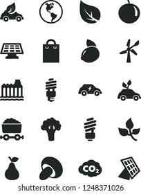 Solid Black Vector Icon Set - saving light bulb vector, porcini, pear, tangerine, yellow lemon, broccoli, leaves, leaf, wind energy, planet Earth, hydroelectricity, eco car, electric, carbon dyoxide