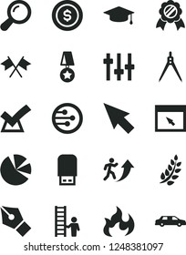 Solid Black Vector Icon Set - pie charts vector, usb flash, network, browser, cursor, zoom, settings, flame, drawing compass, ink pen, laurel branch, man arrow up, graduate, medal, star, with ladder
