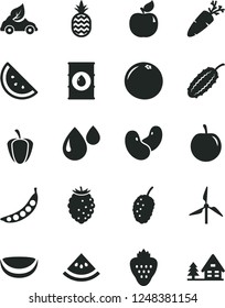 Solid Black Vector Icon Set - carrot vector, strawberry, a pineapple, orange slice, apricot, tasty raspberry, mulberry, plum, piece of coconut, grapefruit, water melon, ripe pepper, peas, beans, oil