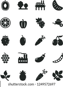 Solid Black Vector Icon Set - garden trolley vector, carrot, grape, large, blackberry, mulberry, tasty cornels, delicious plum, slice of tangerine, juicy lemon, ripe pineapple, Bell pepper, peas