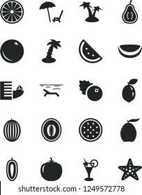 Solid Black Vector Icon Set - blueberries vector, orange slice, melon, loquat, half, sweet date fruit, of passion, sour lime, piece coconut, part guava, persimmon, hotel, beach, palm tree, cocktail