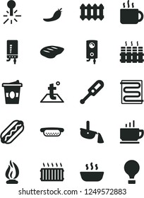 Solid Black Vector Icon Set - electronic thermometer vector e, heating coil, temperature, radiator, new, boiler, coffee, Hot Dog, mini, porridge, chop, cup of tea, coffe to go, red pepper, mercury