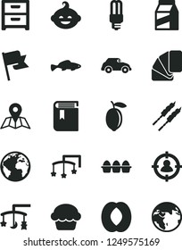 Solid Black Vector Icon Set - sign of the planet vector, book, toys over cradle, cot, funny hairdo, sample colour, map, flag, nightstand, package, bundle eggs, cake, barbecue, small fish, half peach