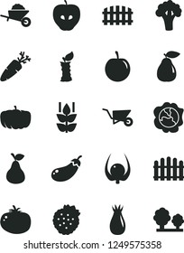 Solid Black Vector Icon Set - garden trolley vector, building, fence, hedge, tomato, carrot, strawberries, pear, mint, squash, tasty apple, rose hip, plum, physalis, stub, broccoli, eggplant, trees