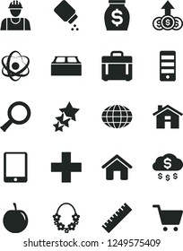 Solid Black Vector Icon Set - house vector, yardstick, plus, baby powder, builder, building block, case, tasty plum, globe, money, tablet pc, tower, atom, zoom, rain, dollar growth, three stars