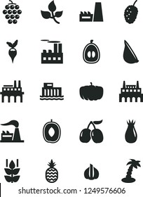 Solid Black Vector Icon Set - garlic vector, a pineapple, mint, large grape, rose hip, tasty mulberry, cornels, delicious plum, half loquat, radish, pumpkin, leaves, factory, hydroelectric station