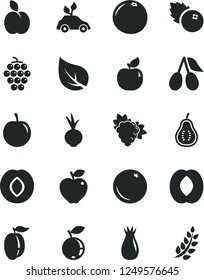 Solid Black Vector Icon Set - beet vector, blueberries, apple, orange, branch of grape, large, apricot, red, plum, rose hip, cornels, blueberry, half peach, ripe, tasty, grapefruit, part guava, leaf