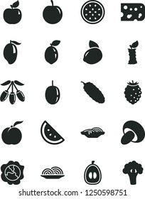 Solid Black Vector Icon Set - piece of cheese vector, onion, slices, porcini, cucumber, orange slice, ripe peach, squash, apricot, tasty raspberry, mango, goji berry, half loquat, plum, yellow lemon