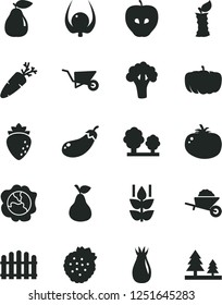 Solid Black Vector Icon Set - garden trolley vector, building, hedge, tomato, carrot, strawberries, pear, mint, squash, tasty apple, raspberry, rose hip, physalis, stub, broccoli, eggplant, pumpkin