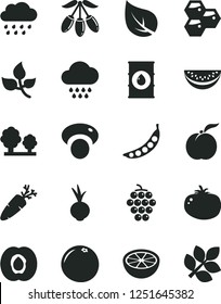 Solid Black Vector Icon Set - cloud vector, rainy, tomato, beet, carrot, honeycombs, ripe peach, half apricot, large grape, goji berry, water melon slice, grapefruit, of, peas, mashroom, leaves, oil