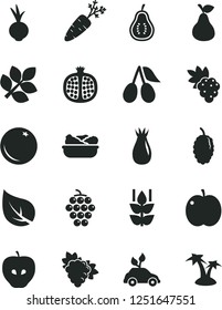 Solid Black Vector Icon Set - lettuce in a plate vector, beet, pear, orange, mint, apple, half pomegranate, grape, branch of, large, tasty, rose hip, cornels, mulberry, part guava, carrot, leaf
