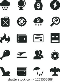 Solid Black Vector Icon Set - purse vector, women, chest of drawers, car child seat, cloud, globe, chicken leg, half cherry, canister, money, usb, flame, artifical insimination, electricity, aim