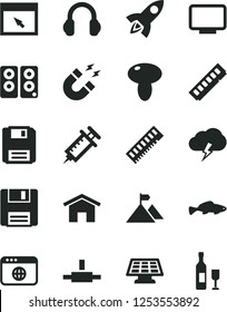 Solid Black Vector Icon Set - home vector, storm cloud, mushroom, small fish, memory, monitor, headphones, pc speaker, browser, connect, floppy, magnet, sun panel, syringe, mountain flag, rocket