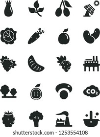 Solid Black Vector Icon Set - carrot vector, grape, branch of, squash, rose hip, cornels, blackberry, slice tangerine, guava, half guawa, beans, mashroom, broccoli, big solar panel, leaves, factory