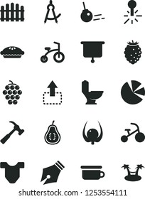 Solid Black Vector Icon Set - Child T shirt vector, children's potty, bicycle, tricycle, toilet, hedge, hammer with claw, core, move up, pie, large grape, tasty raspberry, part of guava, physalis