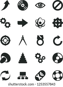Solid Black Vector Icon Set - prohibition vector, right direction, renewal, clockwise, stacking toy, tumbler, eye, CD, porcini, gear, gears, scheme, ring diagram, atom, drawing compass, gold, aim