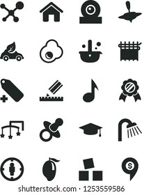 Solid Black Vector Icon Set - add label vector, toys over the cot, dummy, small yule, cubes for children, house, shower, drawing, fried egg, mango, cloth industry, eco car, metallurgy, goal woman