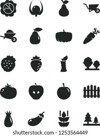 Solid Black Vector Icon Set - garden trolley vector, building, hedge, tomato, carrot, strawberries, pear, mint, squash, tasty apple, raspberry, rose hip, plum, physalis, stub, eggplant, pumpkin
