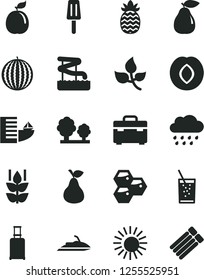 Solid Black Vector Icon Set - rainy cloud vector, suitcase, a glass of soda, popsicle, pear, mint, honeycombs, plum, water melon, guava, pineapple, leaves, trees, rolling, hotel, sun, aquapark