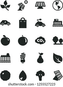 Solid Black Vector Icon Set - saving light bulb vector, drop, cabbage, pear, tangerine, delicious apple, broccoli, big solar panel, leaves, leaf, planet Earth, hydroelectric station, trees, bag, sun