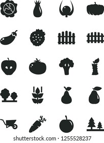 Solid Black Vector Icon Set - building trolley vector, fence, hedge, tomato, carrot, strawberries, pear, mint, squash, tasty apple, rose hip, plum, physalis, stub, broccoli, eggplant, pumpkin, trees