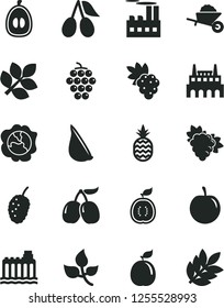 Solid Black Vector Icon Set - garden trolley vector, garlic, a pineapple, grape, branch of, large, squash, cornels, tasty mulberry, half loquat, plum, guava, guawa, leaves, hydroelectricity, factory