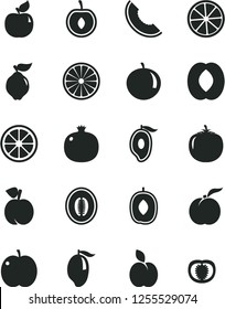 Solid Black Vector Icon Set - apple vector, peach, ripe, pomegranate, quince, apricot, slice of melon, mango, half, delicious plum, tangerine, cherry, juicy lemon, orange, persimmon, tomato