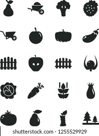Solid Black Vector Icon Set - garden trolley vector, building, fence, hedge, tomato, carrot, strawberries, pear, mint, squash, tasty apple, rose hip, plum, physalis, stub, broccoli, eggplant, forest