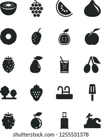 Solid Black Vector Icon Set - a glass of soda vector, popsicle, strawberry, ripe peach, large grape, pear, cornels, fig, blackberry, tasty raspberry, blueberry, mulberry, slice water melon, kiwi