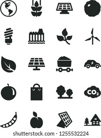 Solid Black Vector Icon Set - saving light bulb vector, cabbage, apple, mint, tangerine, peas, solar panel, leaves, leaf, windmill, planet Earth, hydroelectricity, trees, electric transport, bag