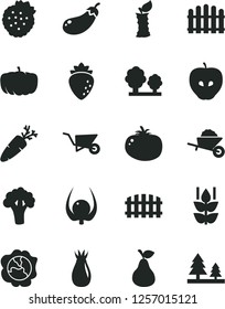 Solid Black Vector Icon Set - garden trolley vector, building, fence, hedge, tomato, carrot, strawberries, pear, mint, squash, tasty apple, raspberry, rose hip, physalis, stub, broccoli, eggplant