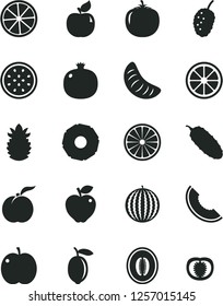 Solid Black Vector Icon Set - cucumber vector, ripe peach, apple, pomegranate, apricot, red, tasty mulberry, water melon, slice of, half, tangerine, lemon, juicy, passion fruit, orange, pineapple