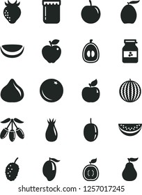 Solid Black Vector Icon Set - jam vector, jar of, orange, apricot, red apple, strawberry, rose hip, fig, tasty mulberry, water melon, mango, loquat, goji berry, slice, half, plum, passion fruit