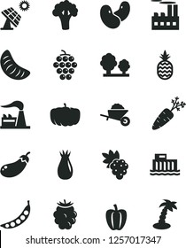 Solid Black Vector Icon Set - garden trolley vector, a pineapple, grape, large, rose hip, blackberry, slice of tangerine, Bell pepper, carrot, peas, beans, broccoli, eggplant, pumpkin, factory